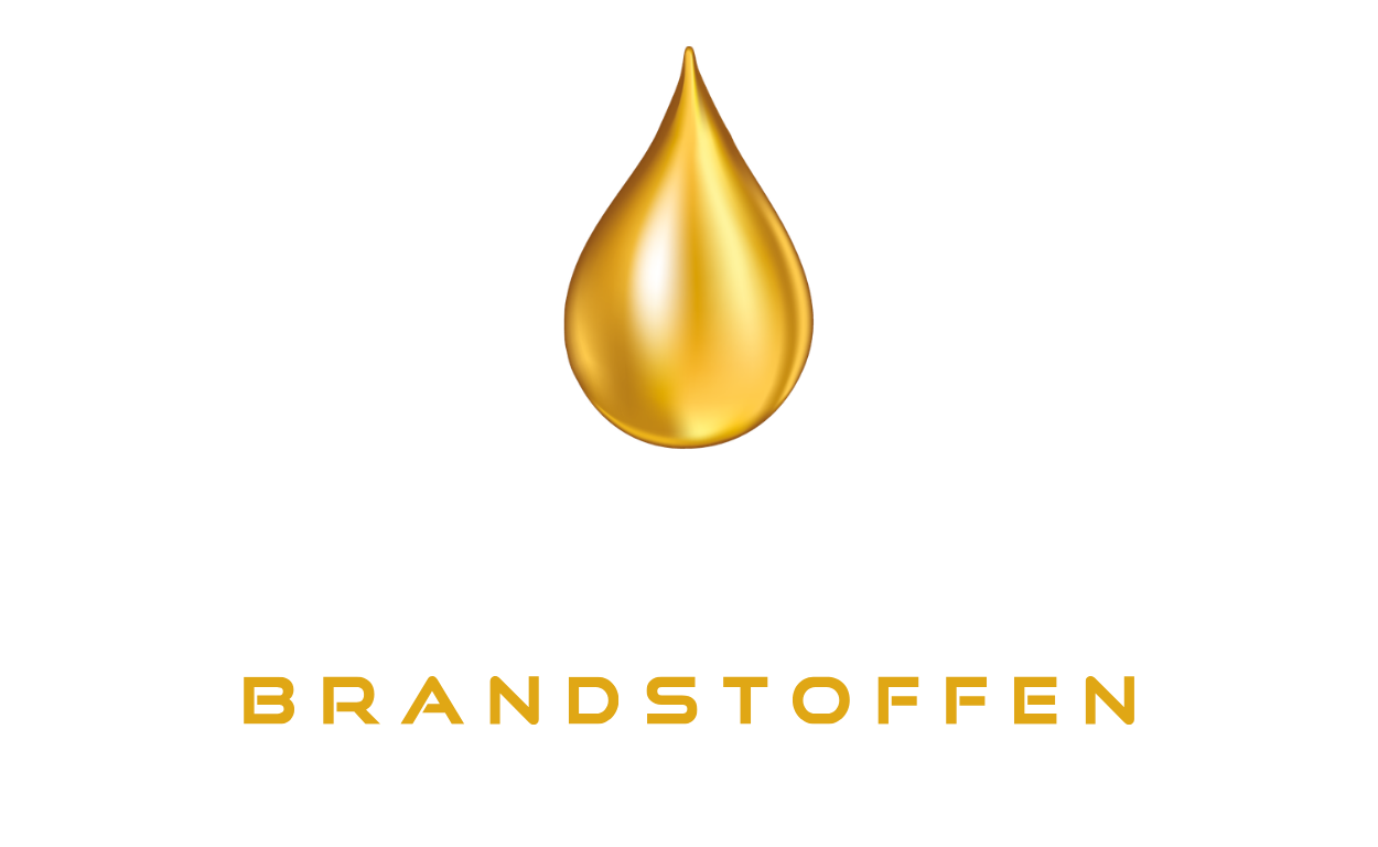 Van Eygen logo langwerpig transparant